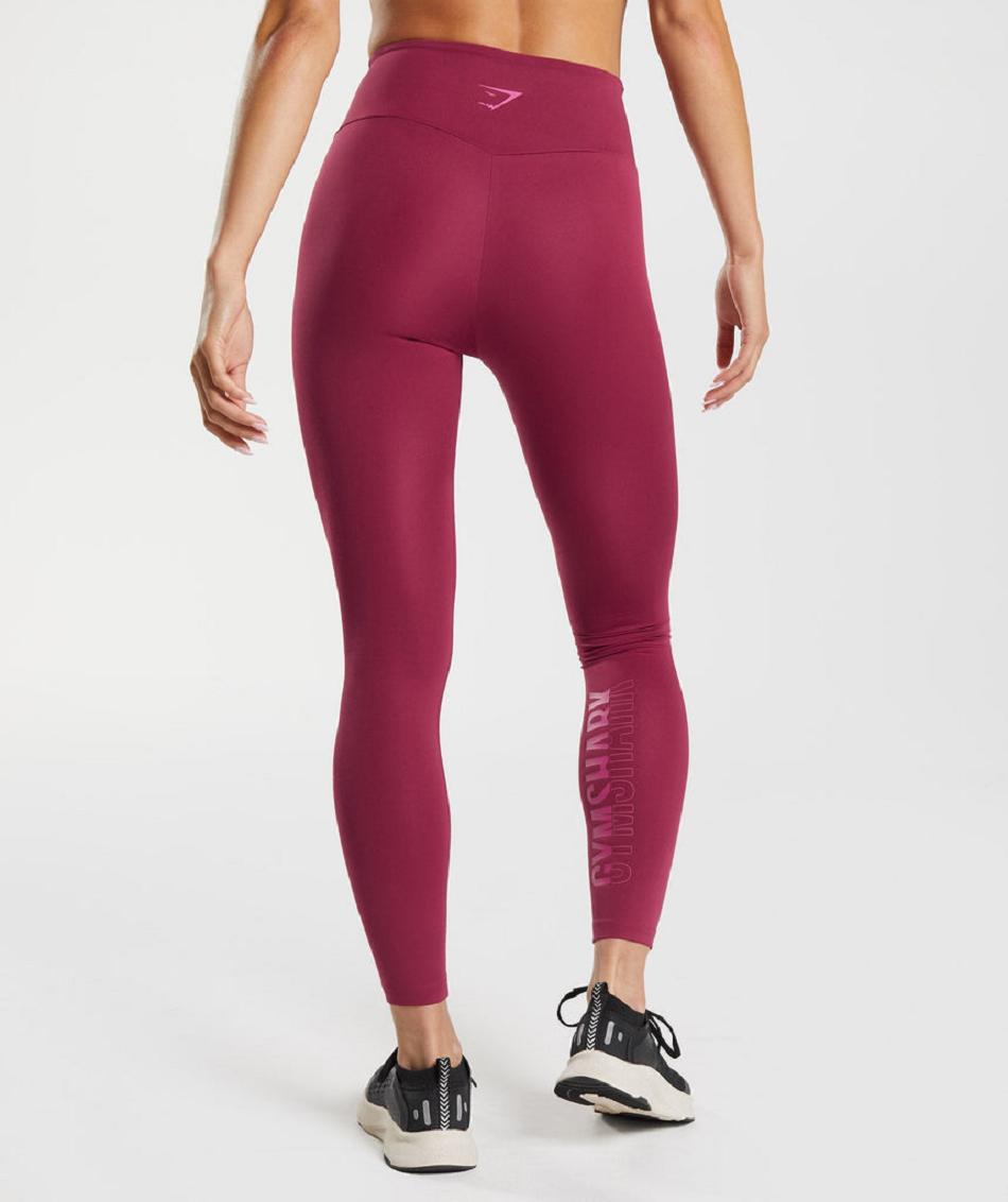 Leggins Gymshark Graphics Fraction Mujer Rosas | CO 2853WNB